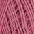 3157 - ROSEIRA